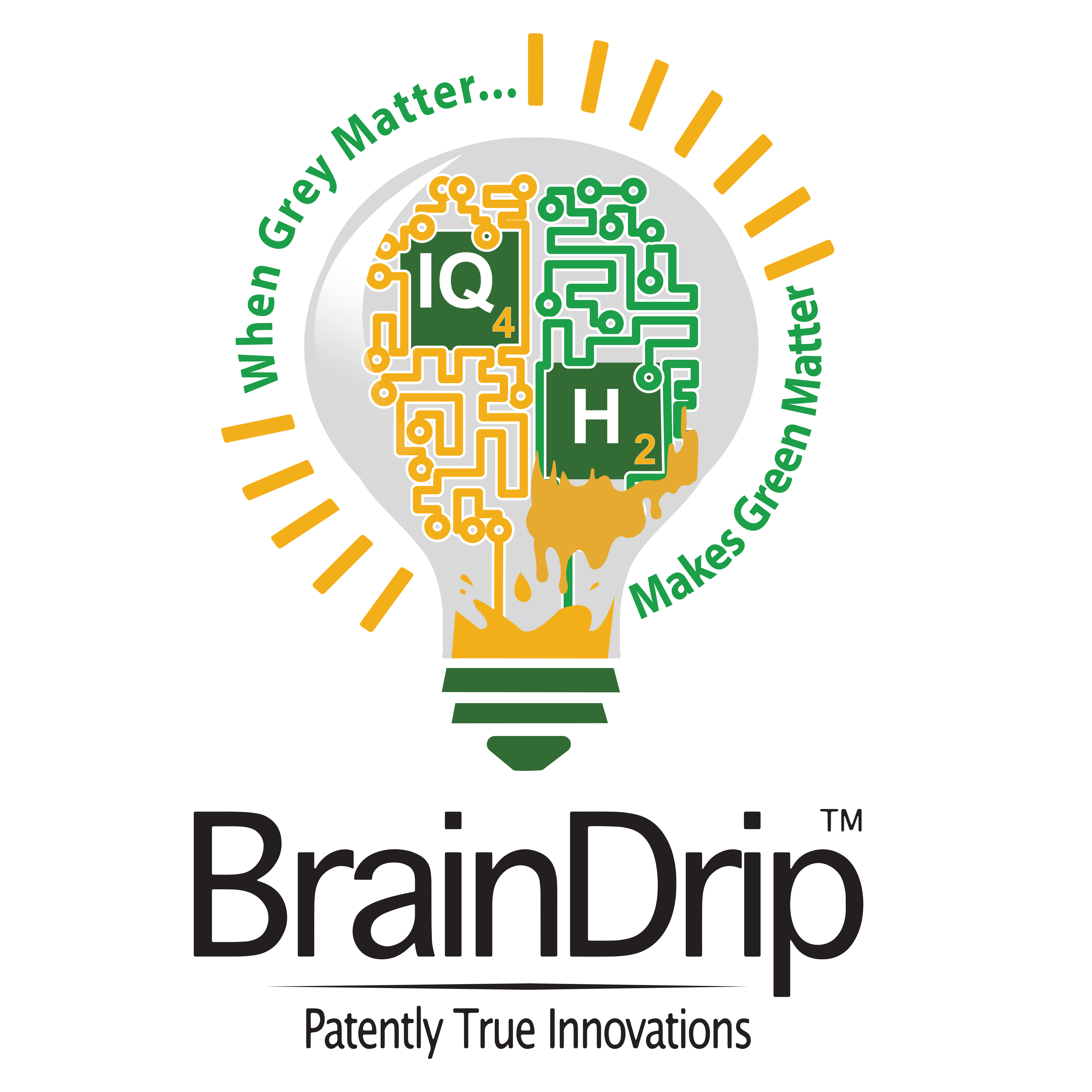 BrainDrip - IQ4H2